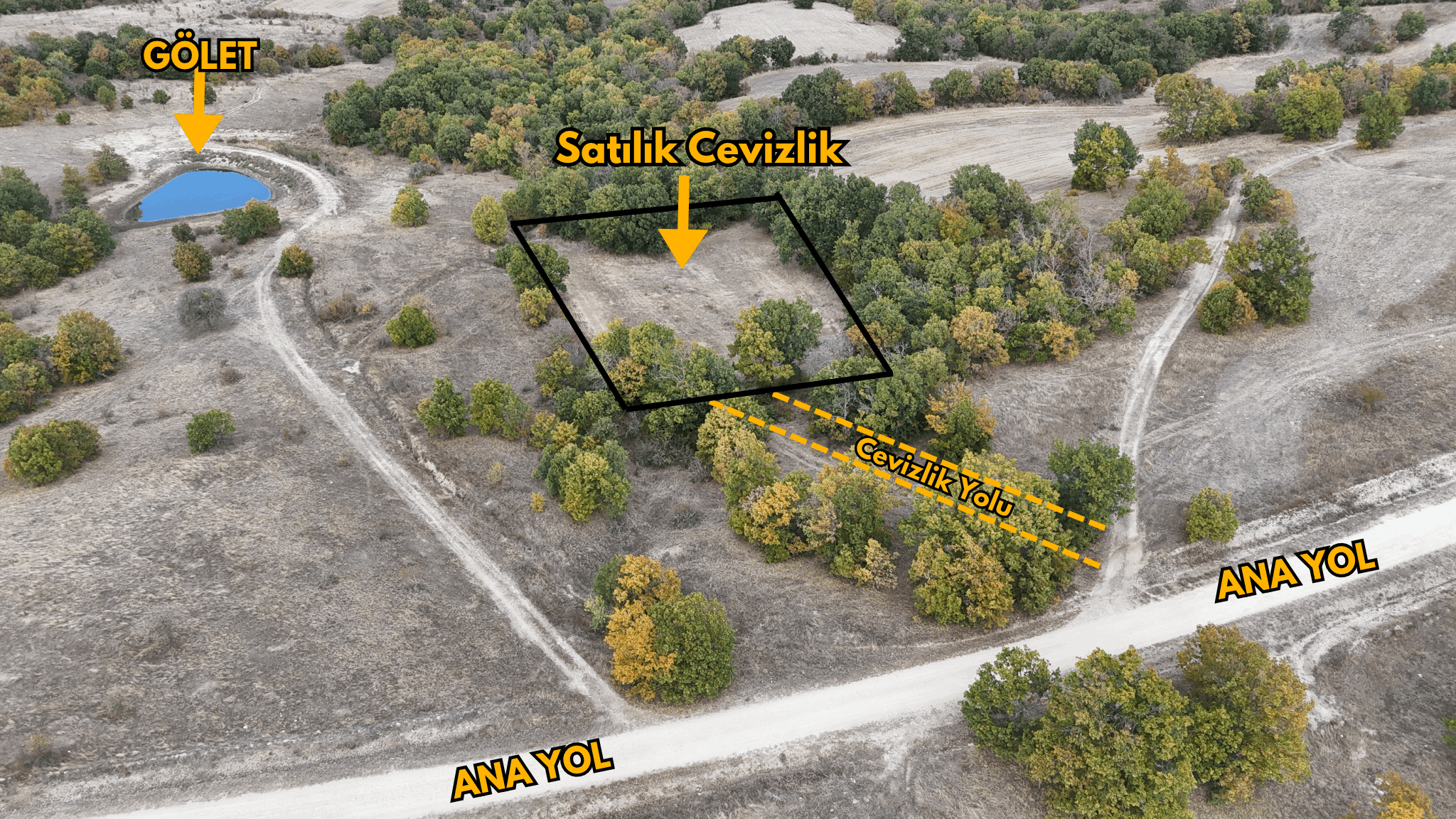 Anayol Dibinde Satılık Cevizlik [ 3.249 M2 ]